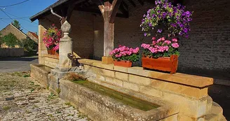Lavoir de Ternat Lavoir de Ternat