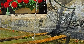 Lavoir de Vitry-en-Montagne