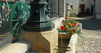 Fontaine de Saint-Loup-sur-Aujon