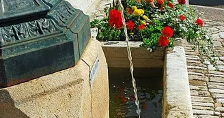Fontaine de Saint-Loup-sur-Aujon