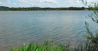 Lac de la Vingeanne Lac de la Vingeanne