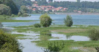 Lac de la Mouche