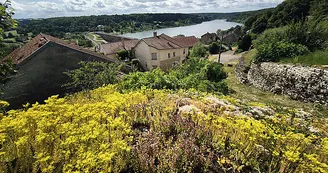 Aire de pique-nique du point de vue de Saint-Ciergues