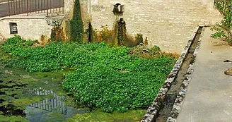 Lavoir de Chalancey
