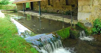 Lavoir de l'entre deux eaux à Auberive