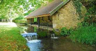 Lavoir de l'entre deux eaux à Auberive