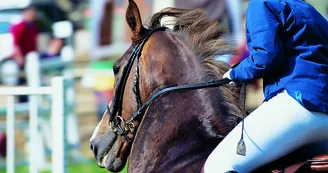 champagne 52 loisirs equestre competition phl6836._1