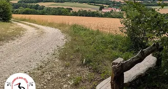 Vos bancs font la pose à Auberive