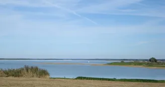 Plage - Lac du Der Plage - Lac du Der