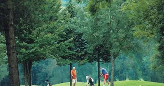 Golf d'Arc-en-Barrois