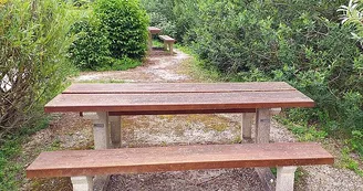Aire de pique-nique du lac de Charmes - Varbeton