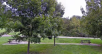 Aire de pique-nique du parking de la Mouche