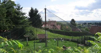 Enclos à cigognes, Oberbronn, Alsace