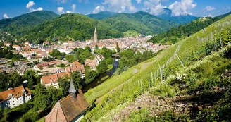 Thann vue du vignoble