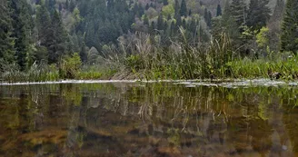 L’étang du Devin