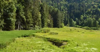 L’étang du Devin