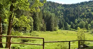 L’étang du Devin