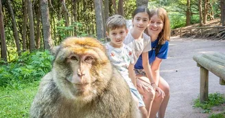 La Montagne des Singes