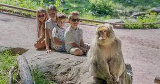 La Montagne des Singes