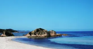 PIETROSELLA