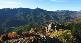 Fotolia_vallée du Golo