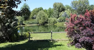 lac1