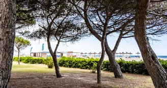 Plage_des_Pins-ArgelesTourisme-Benjamin_COLLARD-5154