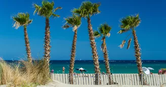 Plage Maillol - Saint-Cyprien (1)