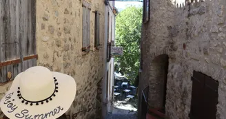 Eus par ©OT Conflent Canigo (44)