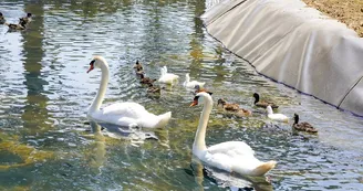 PORT BARCARES FERME