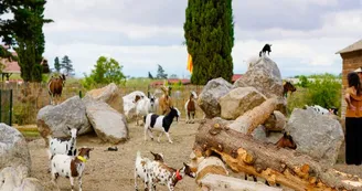 PORT BARCARES FERME