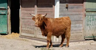 PORT BARCARES FERME
