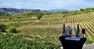 Catalan-Wine-Escape-photo-3