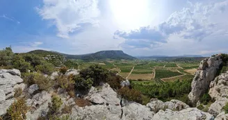 Catalan-Wine-Escape-photo1