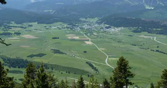 P1000564
