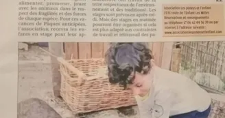 la provence la provence