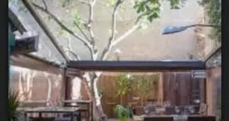 Restaurant Cédrat Marseille.jpg