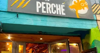 Chat perché_Marseille
