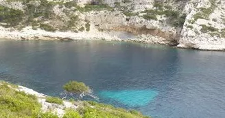 Calanque de Morgiou.jpg