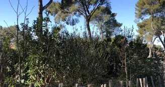 Parc aux écureuils