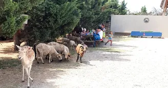 La ferme de Sedona