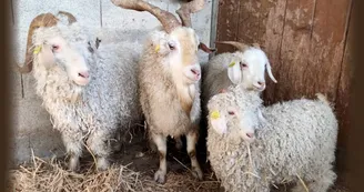 La ferme de sedona