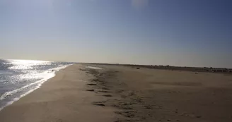 Plage Napoléon