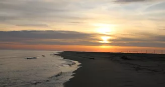 Plage de Beauduc