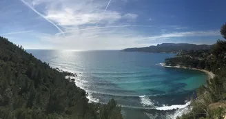 Anse de l'Arène_Cassis Anse de l'Arène_Cassis