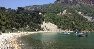 Anse de l'Arène_Cassis Anse de l'Arène_Cassis