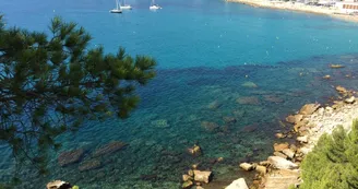 Anse de l'Arène_Cassis Anse de l'Arène_Cassis