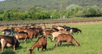 Ferme du Brégalon