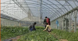 Ferme pédagogique du Roy d'Espagne_Marseille