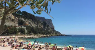 Plage La Grande Mer_Cassis Plage La Grande Mer_Cassis